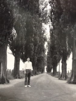 “Boys, be ambitious!”の北大、ポプラ並木で